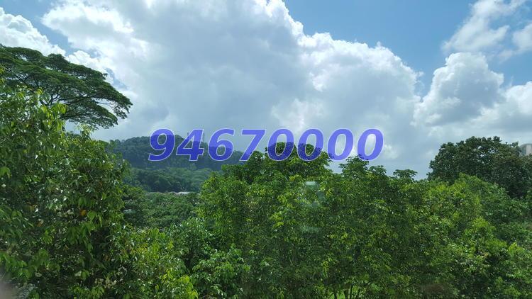 Hillview Heights (D23), Condominium #123544092